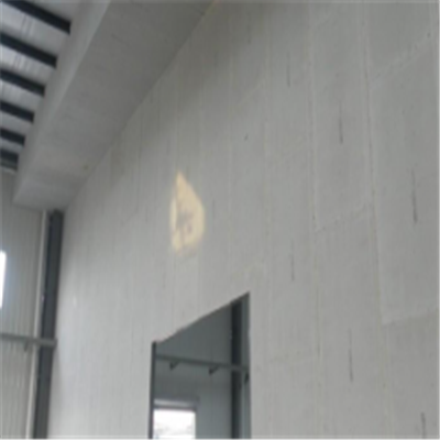 蕉岭宁波ALC板|EPS加气板隔墙与混凝土整浇联接的实验研讨